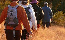 Mangrove Yoga Ashram - - Tweed Heads Accommodation 3