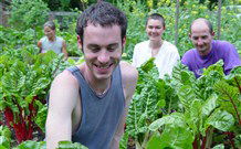 Mangrove Yoga Ashram - - Tweed Heads Accommodation 8