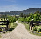 Pemberley Grange Hunter Valley Getaway - Tweed Heads Accommodation