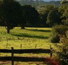 Pines on the Plateau - Tweed Heads Accommodation