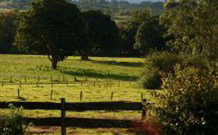 Pines On The Plateau - Tweed Heads Accommodation 0