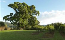 Silos Estate - - Tweed Heads Accommodation 1