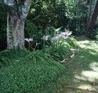 Tallawalla Retreat - Tweed Heads Accommodation