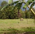 The Watertank Bed and Breakfast - Tweed Heads Accommodation