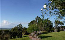Yellow Dog Cottage - - Tweed Heads Accommodation 3