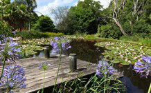 Yellow Dog Cottage - - Tweed Heads Accommodation 4