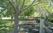 Yellow Dog Cottage - - Tweed Heads Accommodation 6
