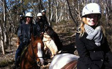 Jemby Rinjah Eco Lodge - Tweed Heads Accommodation 1