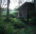 Mount Seaview Resort - Tweed Heads Accommodation