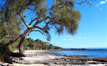 David Jones Cottage - Tweed Heads Accommodation 0