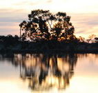 Myuna Bay Sport and Recreation Centre - Tweed Heads Accommodation
