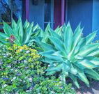 Retreat Homestead - Tweed Heads Accommodation