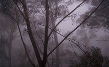 SeaChange Holiday Cottage And SeaStay Cottage - Tweed Heads Accommodation 4