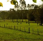 Stone Cottage Mittagong - Tweed Heads Accommodation