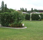 Wheatfield Cottage - Tweed Heads Accommodation