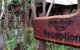 Jemby Rinjah Eco Lodge - thumb 3