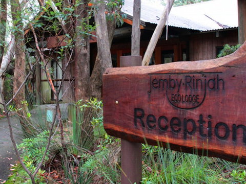 Jemby Rinjah Eco Lodge - Tweed Heads Accommodation 3