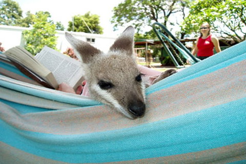 Myella Farmstay - Baralaba - Tweed Heads Accommodation 6
