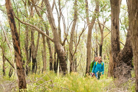 Mt Lofty YHA - Tweed Heads Accommodation 8