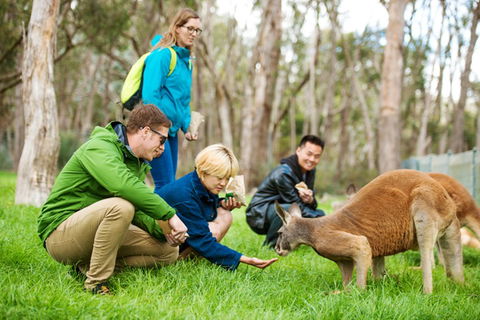 Mt Lofty YHA - Tweed Heads Accommodation 7