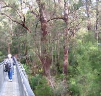 Walpole YHA - Tweed Heads Accommodation