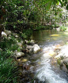 Sweetwater Lodge - Tweed Heads Accommodation 3