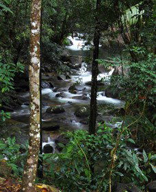 Daintree Secrets Waterfall Sanctuary - Tweed Heads Accommodation 1