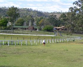 Kellarni Downs Farmstay-Scenic Rim - Tweed Heads Accommodation 0