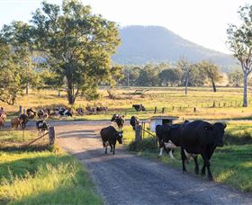 Tommerups Dairy Farmstay - Tweed Heads Accommodation 0