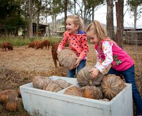Tommerups Dairy Farmstay - Tweed Heads Accommodation 1