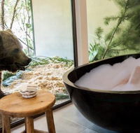 Jamala Wildlife Lodge - Tweed Heads Accommodation