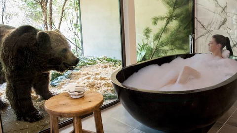 Jamala Wildlife Lodge - Tweed Heads Accommodation 0