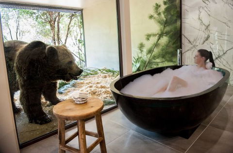 Jamala Wildlife Lodge - Tweed Heads Accommodation 1