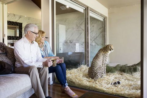 Jamala Wildlife Lodge - Tweed Heads Accommodation 3