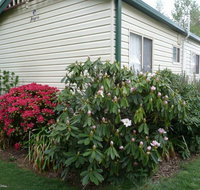 Jenolan Caravan Park - Tweed Heads Accommodation