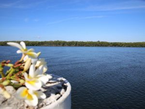 The Fishing Haven Holiday Park - Tweed Heads Accommodation 0