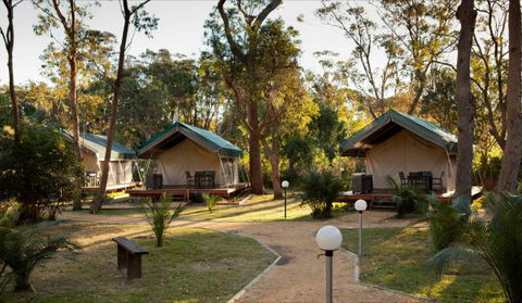NRMA Myall Shores Holiday Park - Tweed Heads Accommodation 0