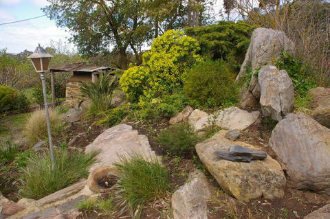 Naimanya Cottage - Tweed Heads Accommodation 4