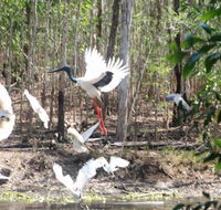 Rakhi Retreat - Tweed Heads Accommodation