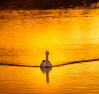 River Shack Rentals - Living the Dream - Tweed Heads Accommodation