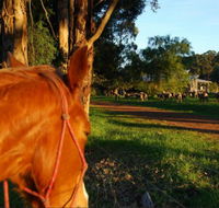 Billa Billa Farm Cottages - Tweed Heads Accommodation