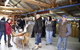 Jamieson Valley Retreat - thumb 8