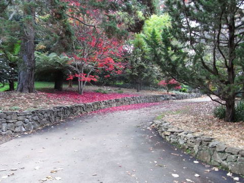The Jungle Lodge, Blue Mountains Botanic Gardens - Tweed Heads Accommodation 5