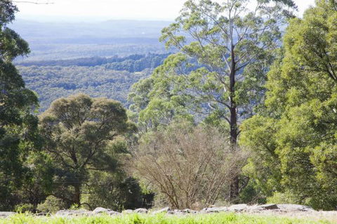 The Jungle Lodge, Blue Mountains Botanic Gardens - Tweed Heads Accommodation 6