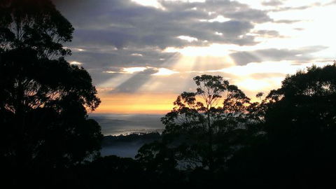 The Jungle Lodge, Blue Mountains Botanic Gardens - Tweed Heads Accommodation 8