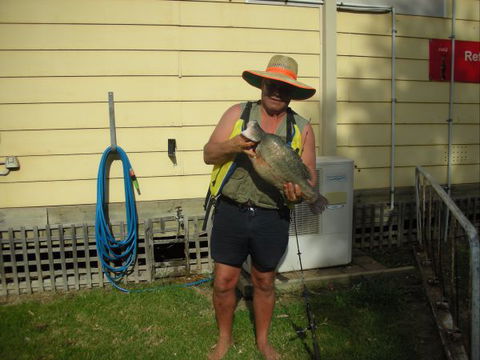 Bonnie Doon Caravan Park - Tweed Heads Accommodation 1