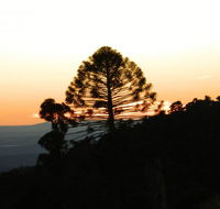 Bunya Mountains Accommodation Centre - Tweed Heads Accommodation