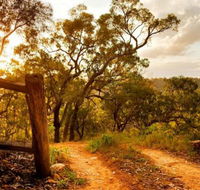 Kurrajong Trails and Cottages - Tweed Heads Accommodation