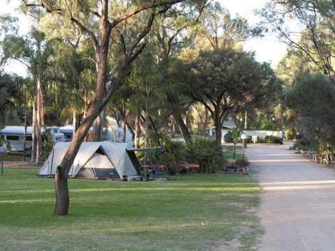 Riverbend Caravan Park Renmark - Tweed Heads Accommodation 1