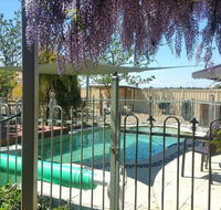 Must Love Dogs BB and Self-Contained Cottage - Tweed Heads Accommodation